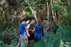 Descubren que hormigas reparan - Descubren que hormigas reparan
