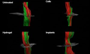 Científicos están cerca - Científicos están cerca