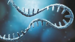 Cápsula permite que vacunas - Cápsula permite que vacunas