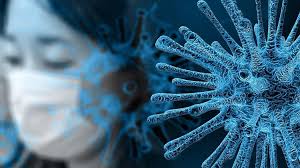 Encuentran virus desconocidos en animales - Encuentran virus desconocidos en animales