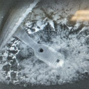 Por falta de actualización - Por falta de actualización