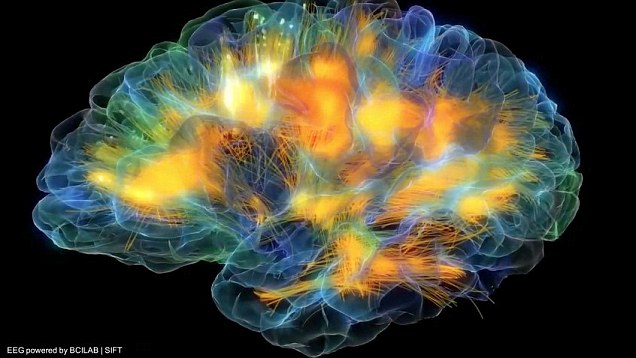 Hechos increíbles del Cerebro Humano 10 -