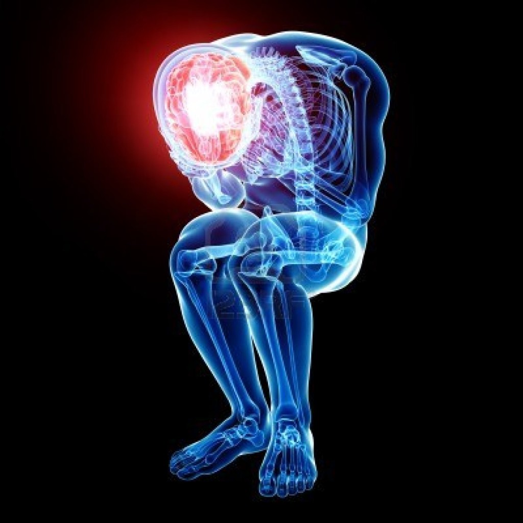 Hechos increíbles del Cerebro Humano 16 -