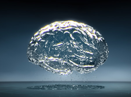 Hechos increíbles del Cerebro Humano 2 -