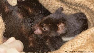 Después de 3.000 años - Después de 3.000 años