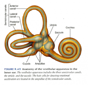científicamente viajes astrales - científicamente viajes astrales