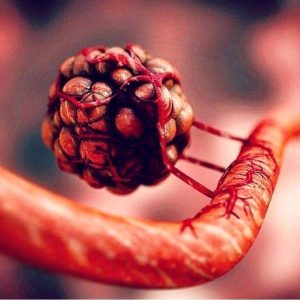 Científicos de la Universidad de Zúrich - Científicos de la Universidad de Zúrich