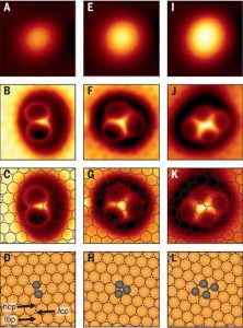 Nuevo microscopio - Nuevo microscopio