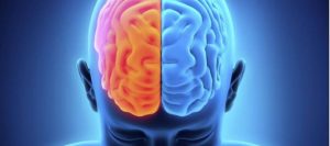 Un reciente estudio - Un reciente estudio