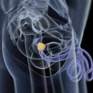 Un reciente estudio - Un reciente estudio