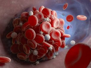 Crean bioadhesivo con veneno de serpiente - Crean bioadhesivo con veneno de serpiente