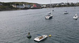 ‘Wally’ la morsa que se quedó dormida - ‘Wally’ la morsa que se quedó dormida