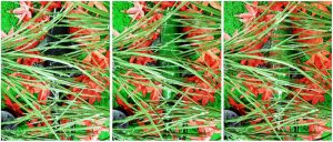 Investigadores crean camaleón-robot con la capacidad de cambiar su coloración según el entorno (suelo). 3 Investigadores crean camaleón-robot - Investigadores crean camaleón-robot