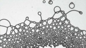 Un grupo de físicos ha creado - Un grupo de físicos ha creado