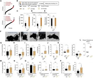 Radiación ultravioleta de la luz solar - Radiación ultravioleta de la luz solar