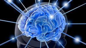 Descubren componente cerebral - Descubren componente cerebral