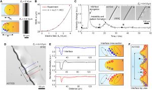 Un grupo de físicos ha creado - Un grupo de físicos ha creado