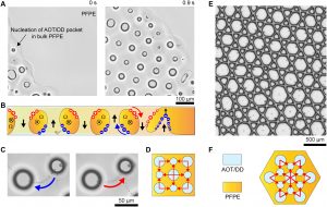 Un grupo de físicos ha creado - Un grupo de físicos ha creado