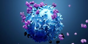 Plantas utilizadas por aborígenes - Plantas utilizadas por aborígenes