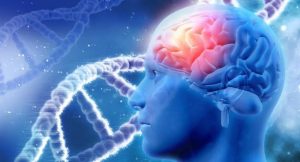 Crean novedoso método - Crean novedoso método