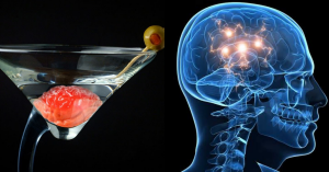 semana en la ciencia - semana en la ciencia