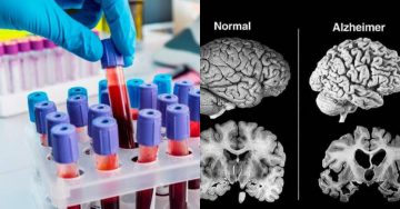 semana en la ciencia - semana en la ciencia