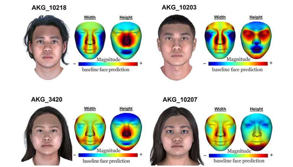 reconstruccion facial