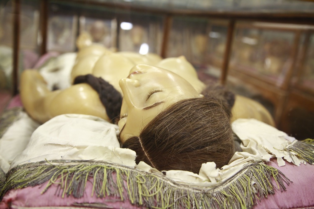 venus anatómica - venus anatómica