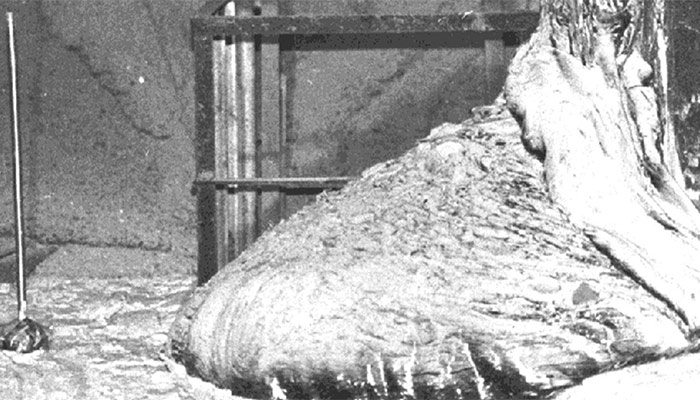 Artur Korneyev: la historia de la selfie «más peligrosa de la historia»