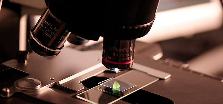 Las predicciones de Stephen Hawking sobre el futuro de la humanidad y el Universo