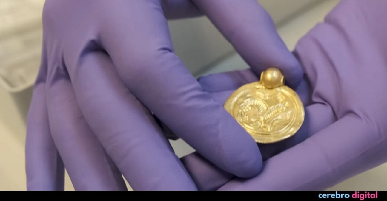 Hombre con detector de metales hace el "hallazgo del siglo" 1 -