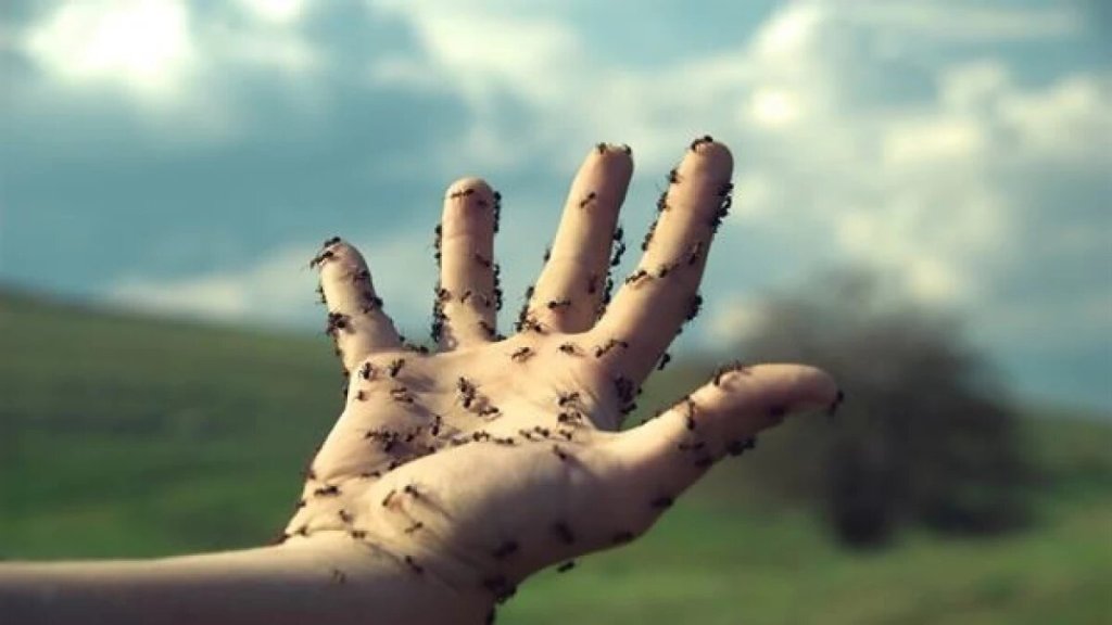 Síndrome de Charles Bonnet: visiones más allá de la realidad