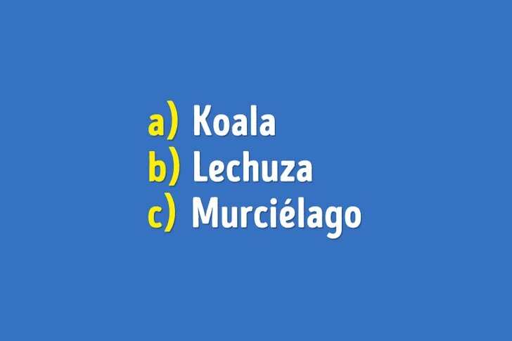 ¡Reto! ¿Cuánto sabes sobre el mundo animal? ¡Pruébalo con estas 6 preguntas!