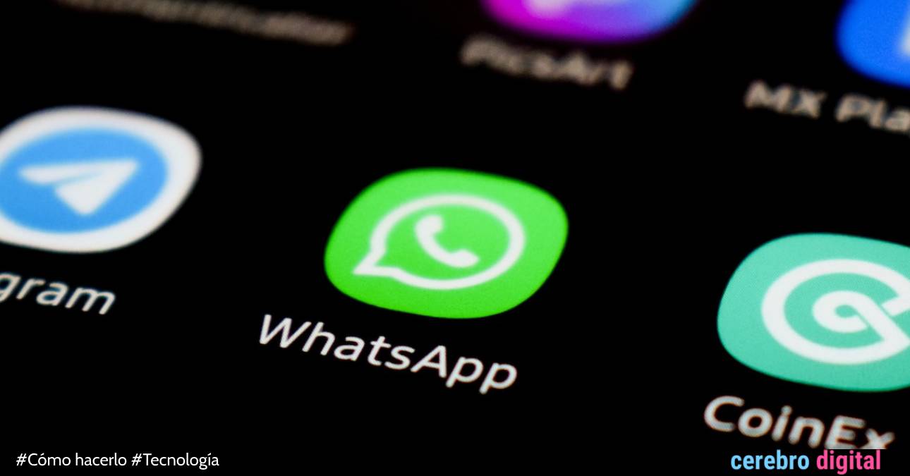 Cómo recuperar fotos y videos de WhatsApp eliminados de la memoria de tu teléfono 1 Cómo recupera fotos y videos de WhatsApp eliminados de la memoria de tu teléfono