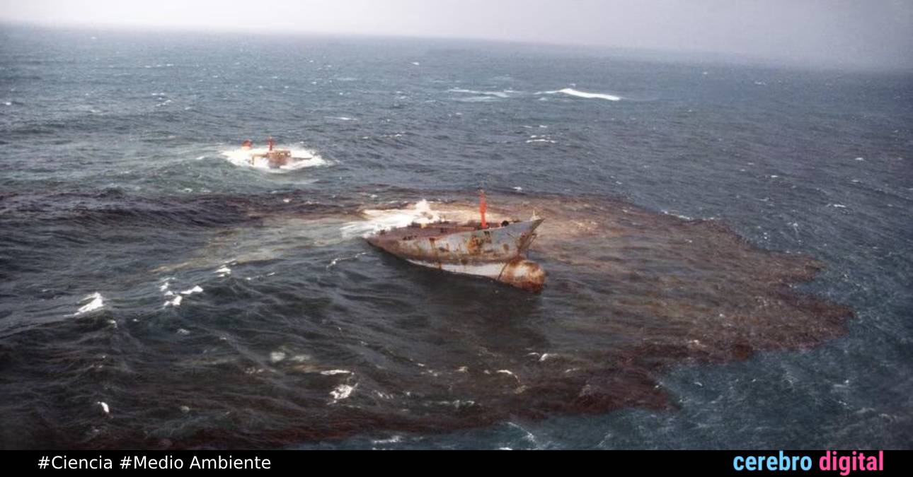 El Naufragio del Amoco Cádiz: 40 Años de la mayor tragedia ecológica