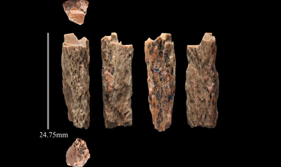 Conoce a Denny, el único híbrido humano desenterrado 2 -