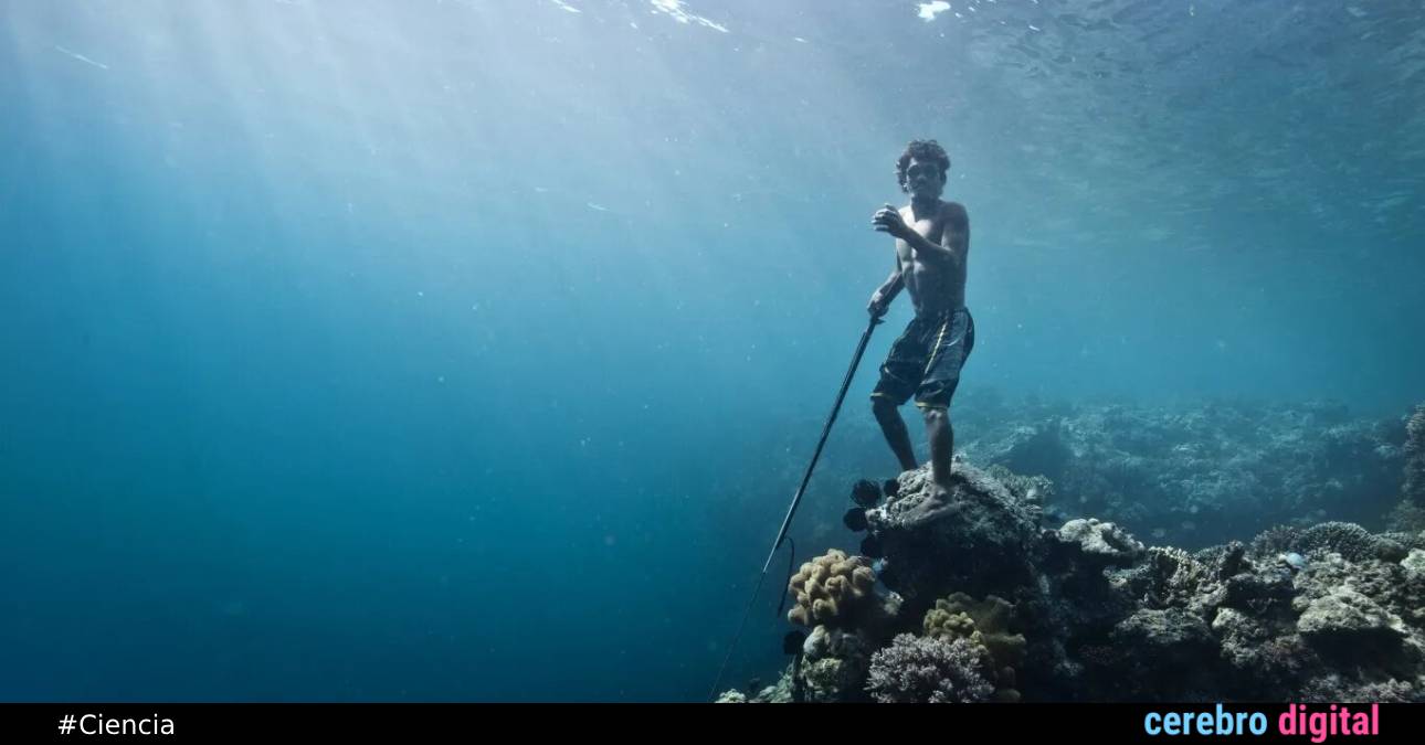 Los Bajau: humanos genéticamente adaptados para vivir en el mar 1 Los Bajau: humanos genéticamente adaptados para vivir en el mar