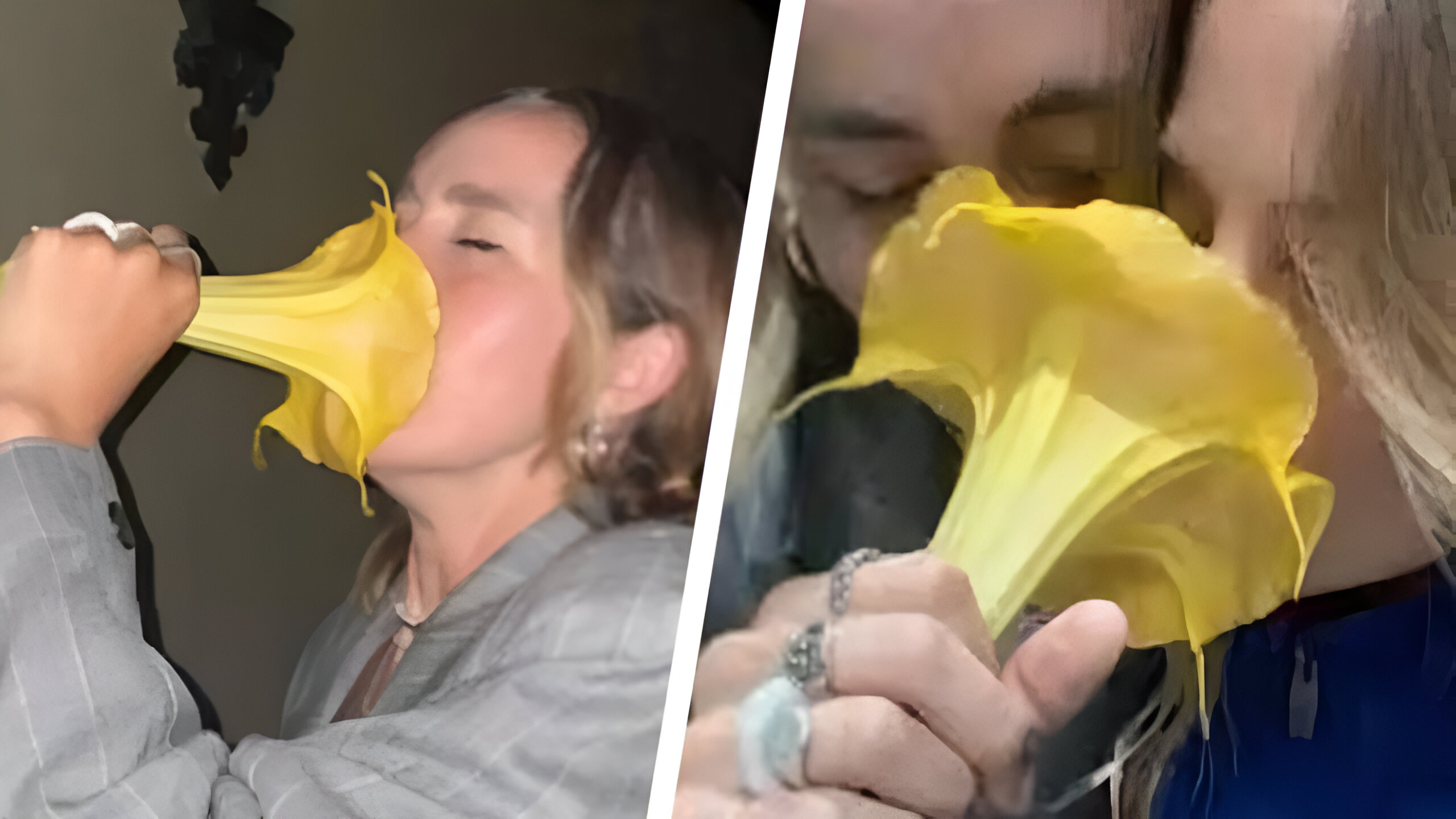 Una flor bella pero peligrosa: TikToker casi se envenena al oler una