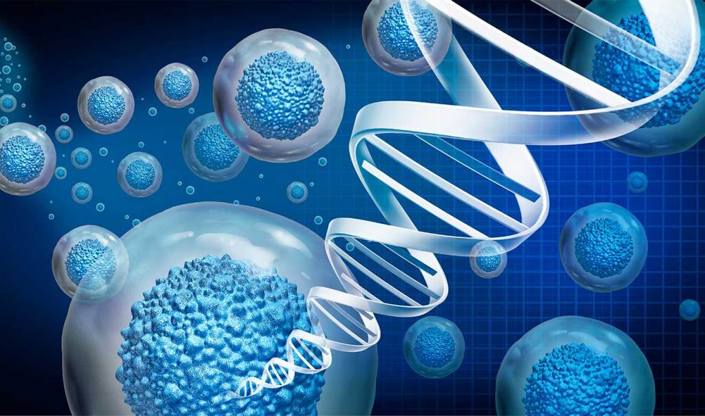 Senolíticos: fármacos contra el envejecimiento que podrían alargar nuestra vida