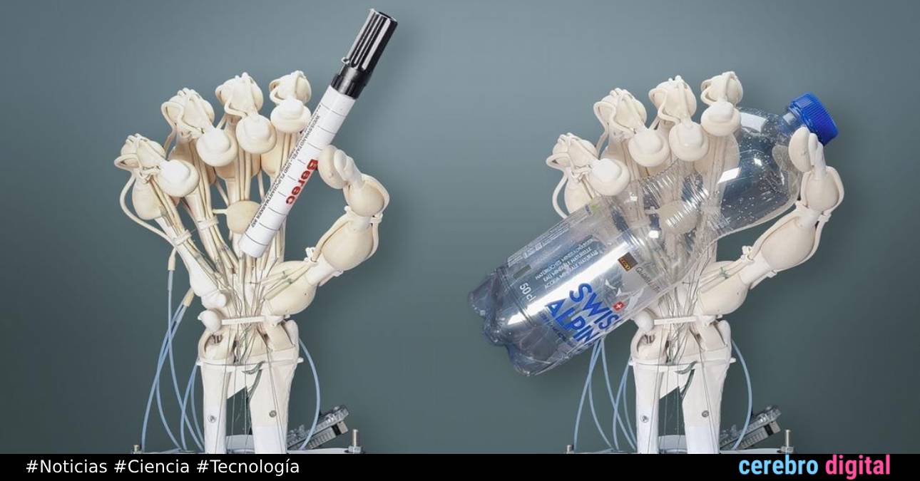 Científicos imprimen en 3D una mano robótica con huesos y tendones similares a una mano humana