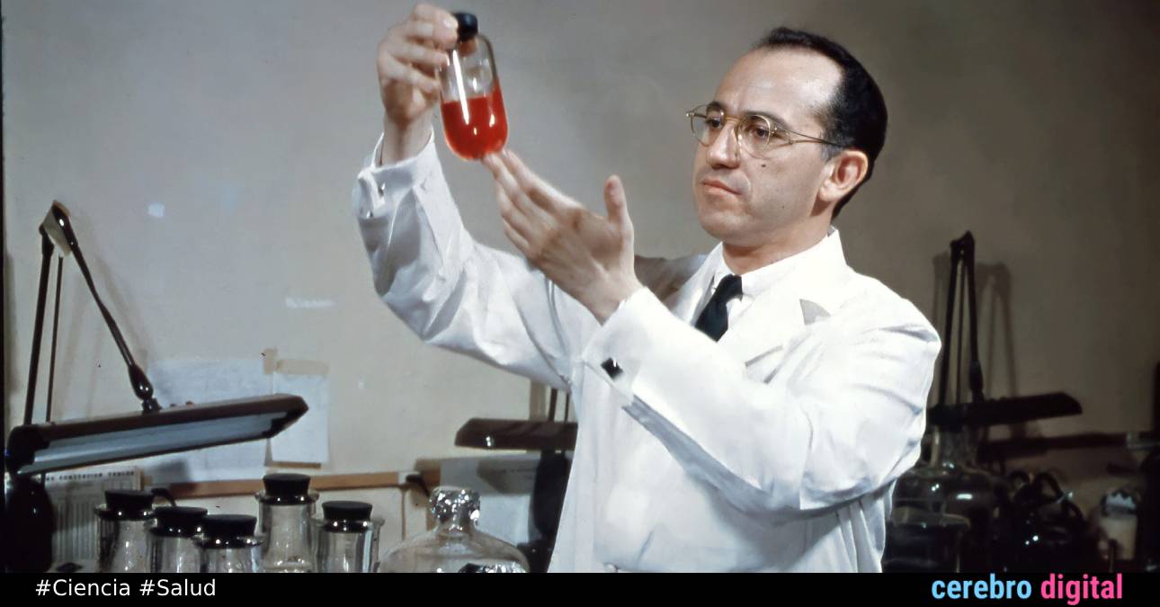 Jonas Salk: el hombre que venció la polio