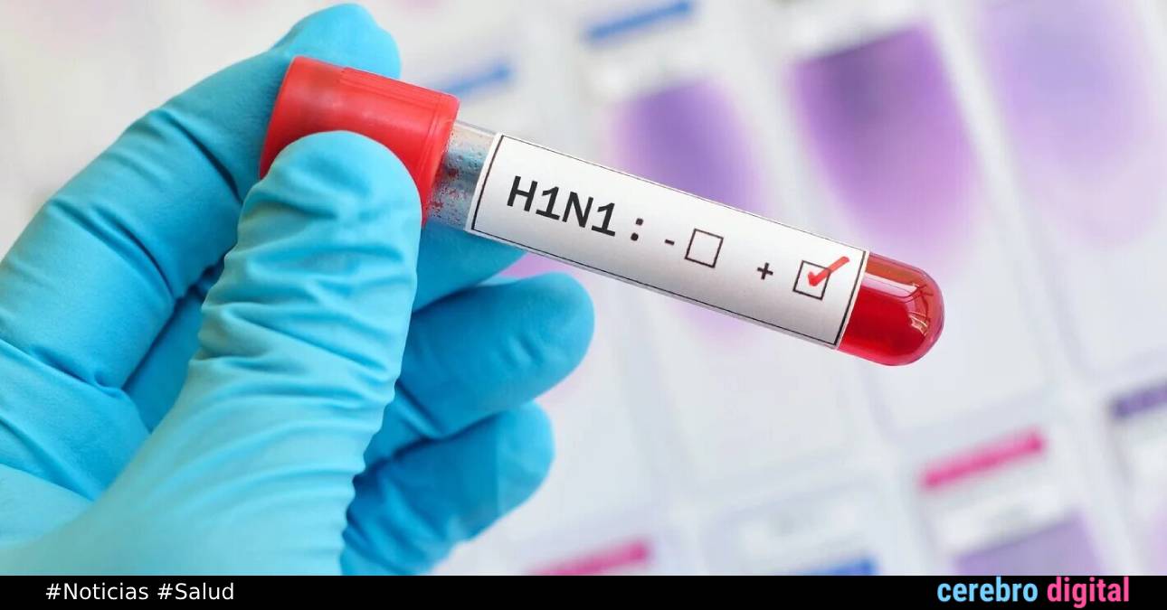 Primer caso de gripe porcina en humanos es registrado en Reino Unido