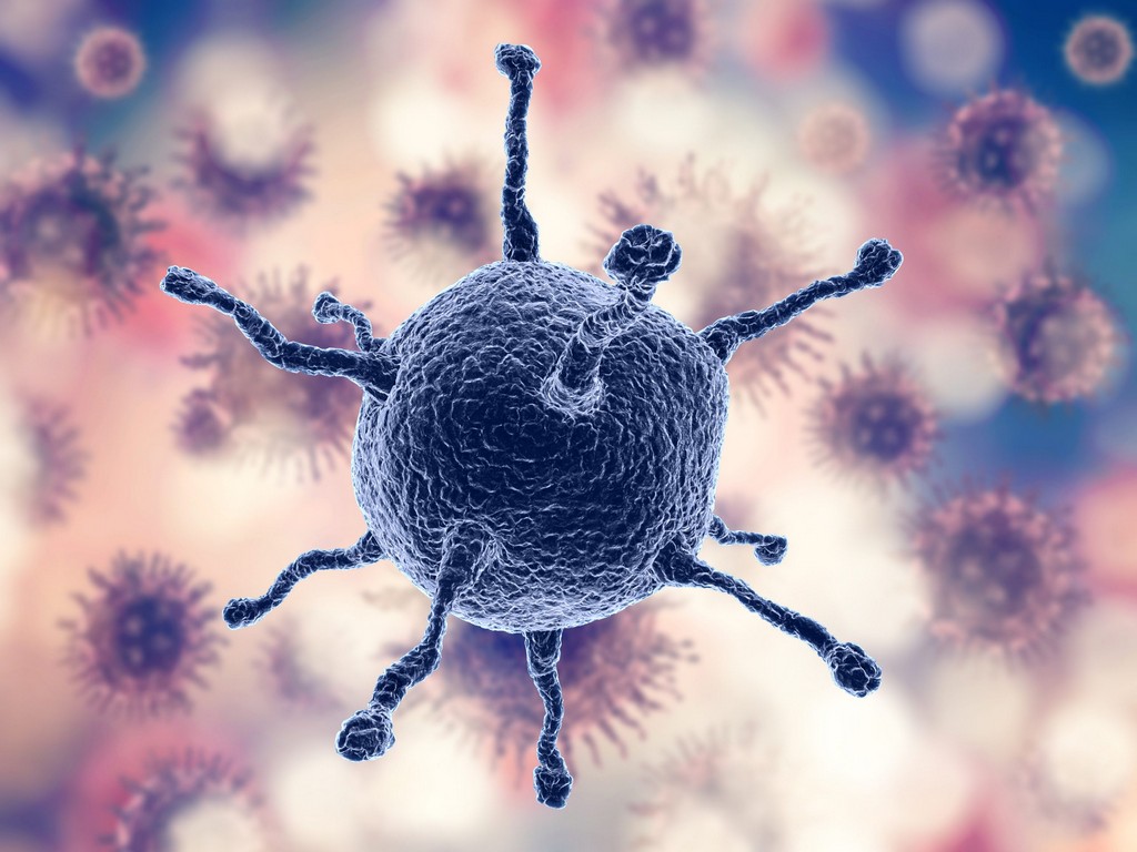 Alimentos que previenen el cáncer: las propiedades que poseen según la ciencia