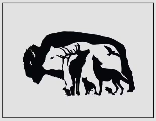 Desafío visual: ¿Cuántos animales hay en la imagen?