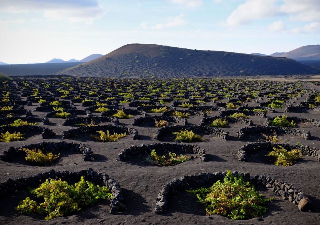 Agujeros que crean lluvia: el método revolucionario para combatir la sequía