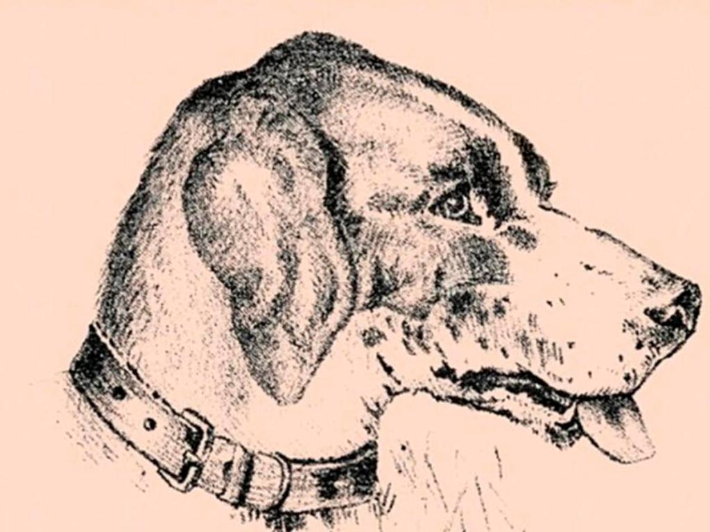 Nadie ha resuelto este reto visual en 140 años