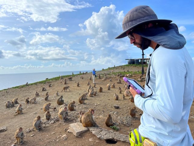 La isla-laboratorio donde se estudia a los monos para entender el comportamiento humano 2 La isla-laboratorio donde se estudia a los monos para entender el comportamiento humano