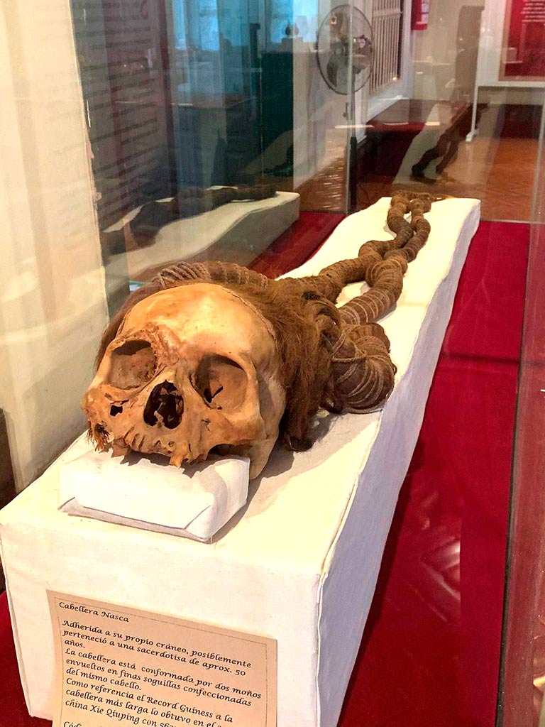 Caballera de más de dos metros y 2000 años intacta y adherida a un cráneo de una sacerdotisa de Nazca