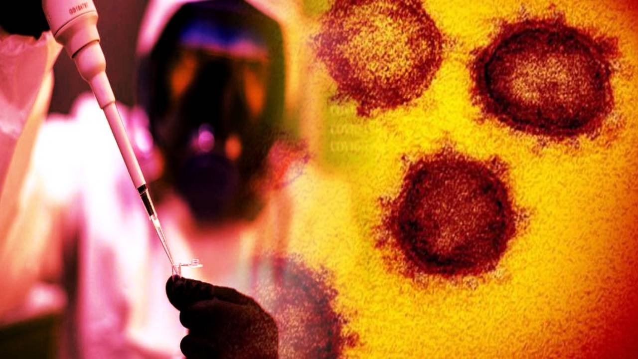 Cepa mutante de coronavirus creada por científicos chinos mostró una letalidad del 100% y se teme su transmisión a humanos