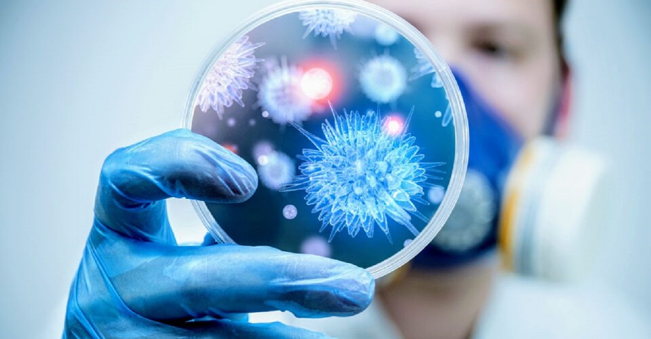 Los científicos crean virus para combatir las bacterias resistentes a los antibióticos 1 -